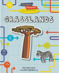 Image of Flowchart Explorers Ecosystems: Grasslands