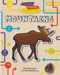 Image of Flowchart Explorers Ecosystems: Mountains