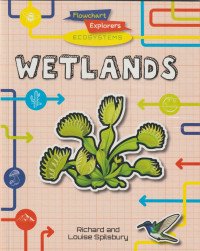 Image of Flowchart Explorers Ecosystems: Wetlands