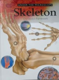 Image of Skeleton: Our Body's Framework