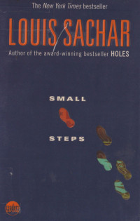 Image of Small Steps